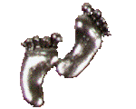 Metal Embellishments