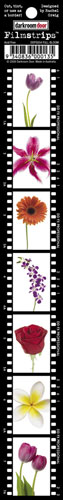 The Dark Room - Full Bloom Filmstrip