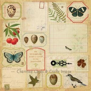 K & Company Flora & Fauna Paper - Botanical Ephemera