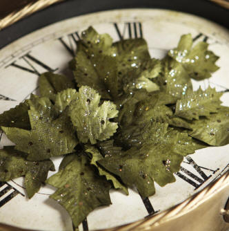 Prima Splendor Leaves - Moss
