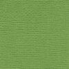 AC Plain Cardstock - MOSS