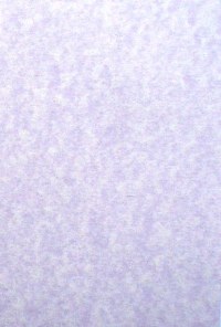 A6 Cards - Parchment Lilac (10)