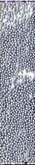Caviar Beads - Metallic Silver
