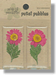 Oval Pebbles - Lobelia