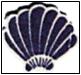 Wooden Scallop Shells (Pack of 10)