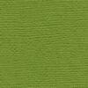 AC Plain Cardstock - SPINACH