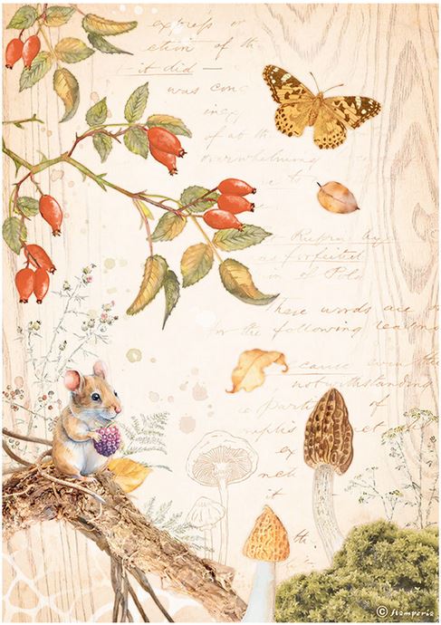 Stamperia A4 Rice Paper Woodland Butterfly (DFSA4817)