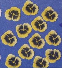 Country Garden - Small Sunshine Pansy