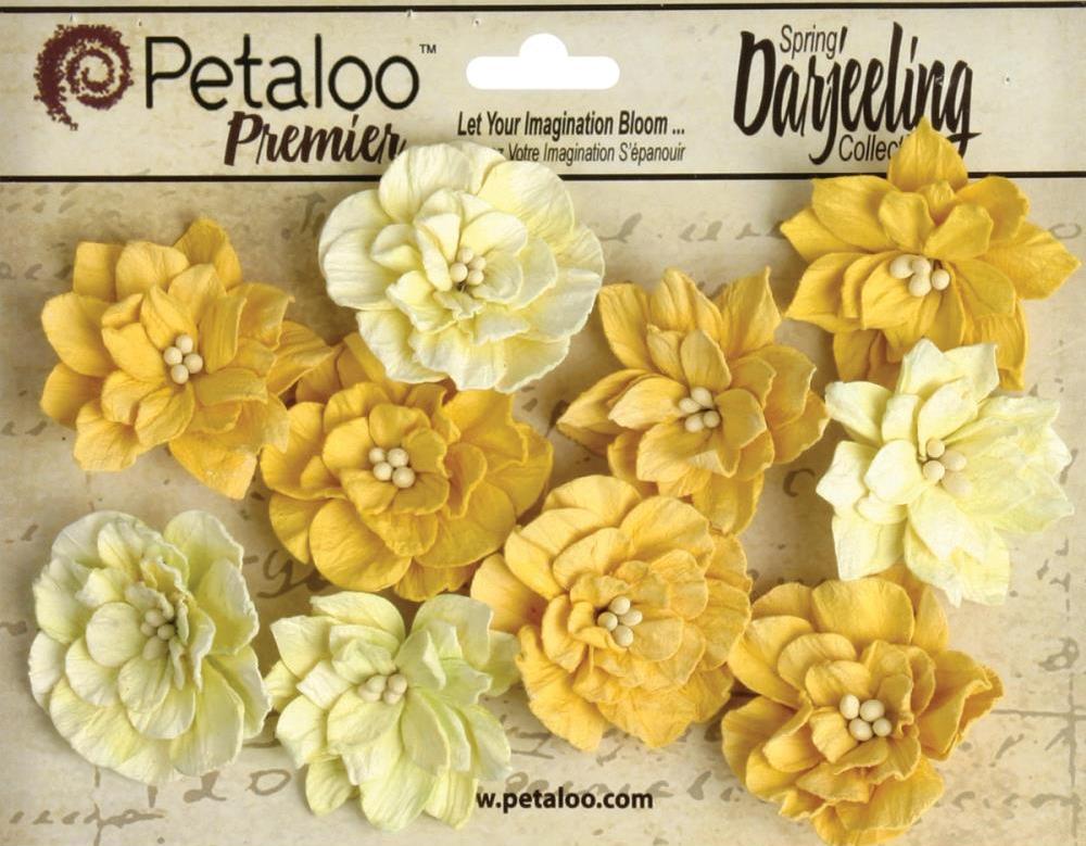 Petaloo Darjeeling Teastained Dahlia Flowers YELLOW