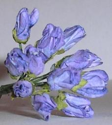 Paper Flowers - Lilac Mini Tulip