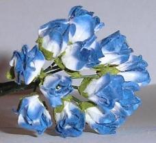 Flower Cards on Paper Flowers White Blue Mini Tulip 12 White Blue Tulips Flower Heads