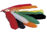 Feathers 