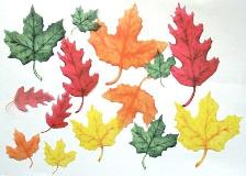 Vellum Die Cuts - Fall Leaves