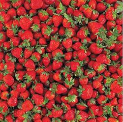 HOTP Paper - Yummy Strawberries