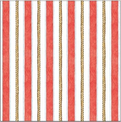 Creative  Imaginations - Pirate Stripe Paper