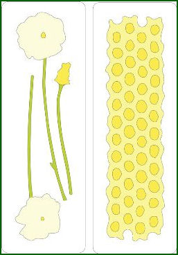 Cuttlebug 2x6 Dies - Poppies & Honeycomb (37-1118)