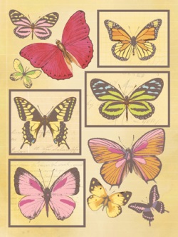 K&Co Cut 'N Paste - Butterflies Grand Adhesions