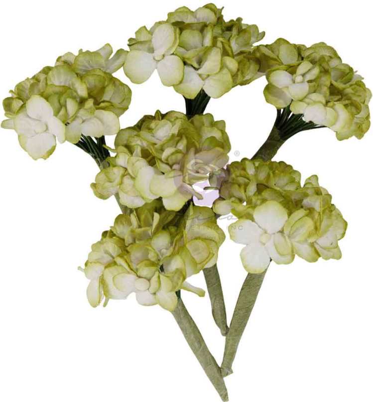 Prima Marketing Homegrown Flowers Garden Hydrangea Mist (5pcs) (683658) 