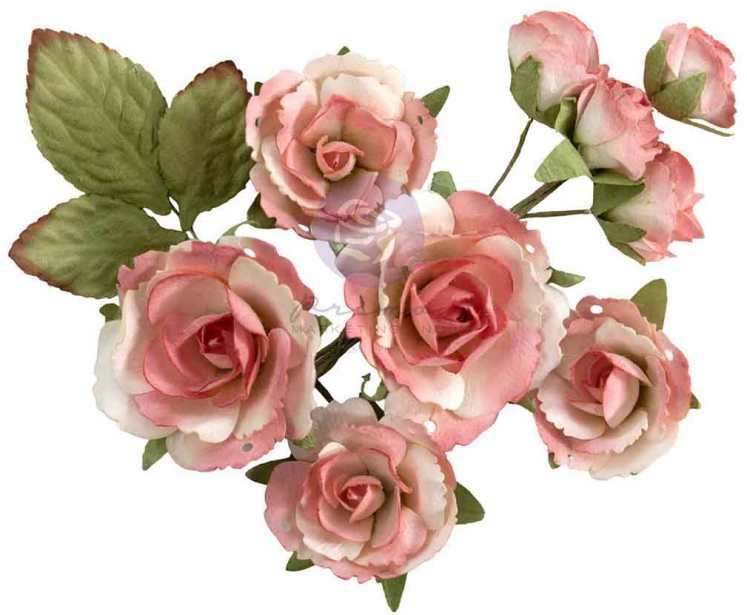 Prima Marketing Homegrown Flowers Garden Rose Blush (10pcs) (683672) 