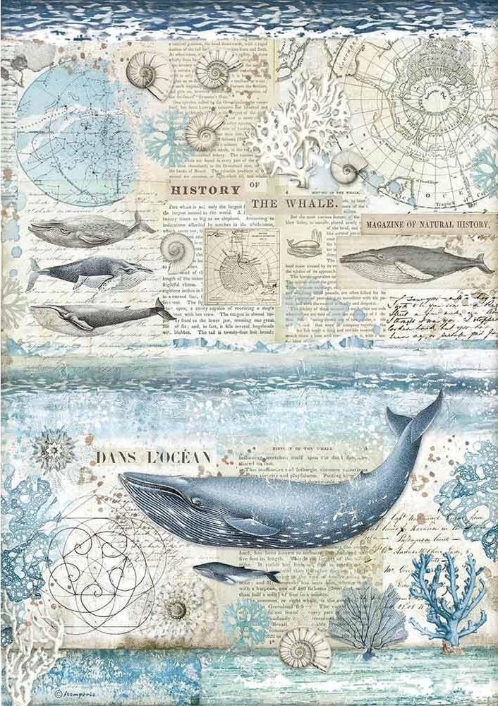 Stamperia Rice Paper A3  - ARCTIC ANTARCTIC HISTORY OF THE WHALE (DFSA3077)