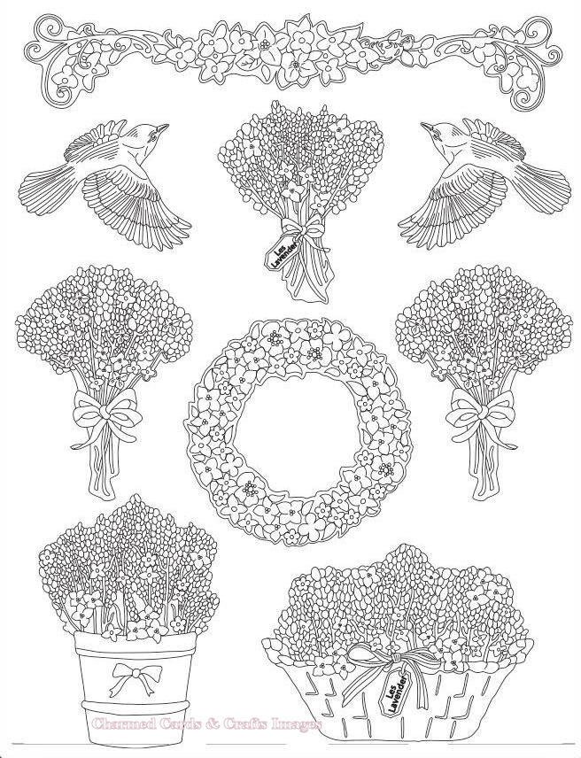 Stamperia Provence Soft Mould A4 - Garlands and Bouquets (K3PTA4527)