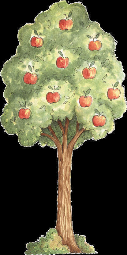 apple tree template for preschool