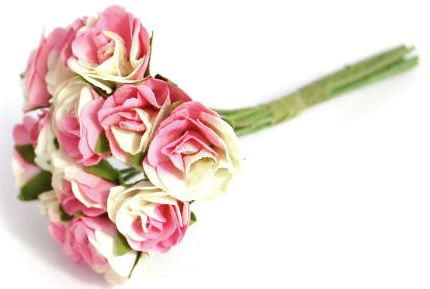 Flowers - Sonia Spray Rose 18mm - CREAM/PINK (B1635CM\PK)