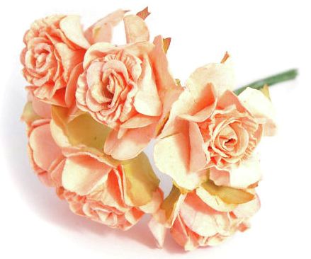 Flowers - Ruffle Roses 32mm - PEACH (B1636PE)