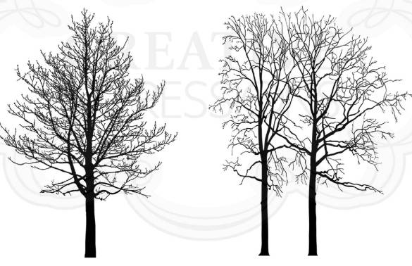 Andy Skinner Winter Trees Rubber Stamp Set (CEASR042)