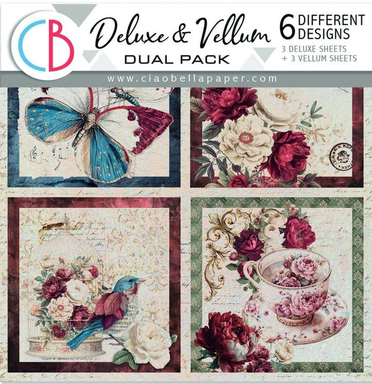 Ciao Bella Bohemian Burgundy 6x6 Inch Deluxe Paper Silver & Vellum Dual Pack Mixed (6pcs) (CBXQ012)