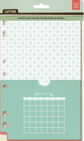 Basic Grey Capture Pocket Assortment - Calendar