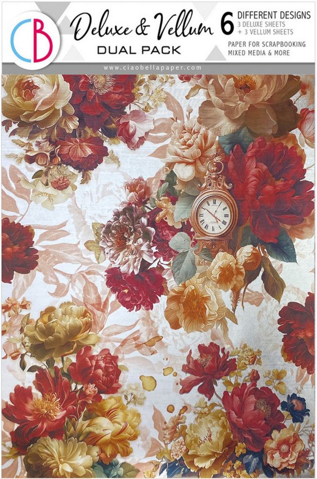 Ciao Bella Book Lover A4 Deluxe Paper Silver & Vellum Dual Pack Mixed (6pcs) (CBX004) 