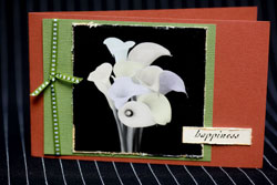 Darkroom Door  -  Viva La Flora PHOTOCHIPS  