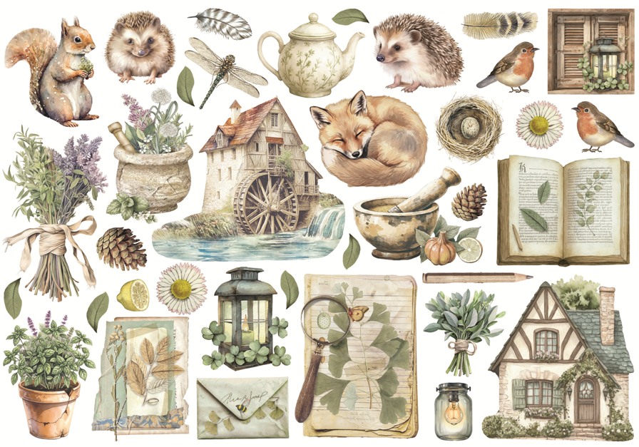 Stamperia Herbarium Silvae Ephemera