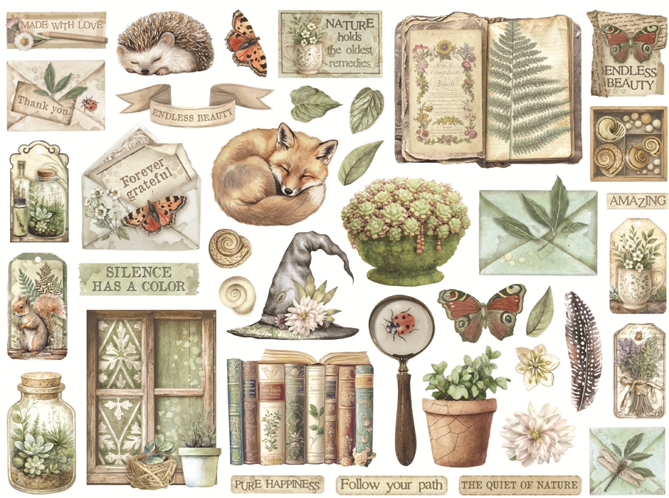 Stamperia Herbarium Silvae Die-Cuts