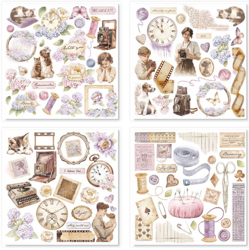 Stamperia Quiet Days Rub-On Assortment (6pcs) (DFLRBX01) 