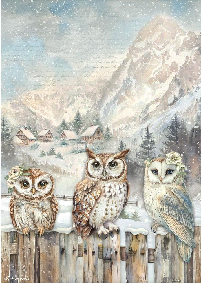 Stamperia The Owl's House A4 Rice Paper - 3 Owls  (DFSA41054)