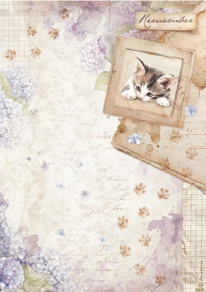 Stamperia Quiet Days A4 Rice Paper - Kitten (DFSA41072)