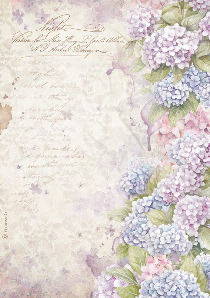 Stamperia Quiet Days A4 Rice Paper - Hydrangea (DFSA41076)