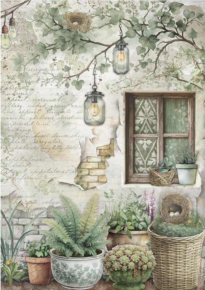 Stamperia Herbarium Silvae A4 Rice Paper - Window (DFSA41077)