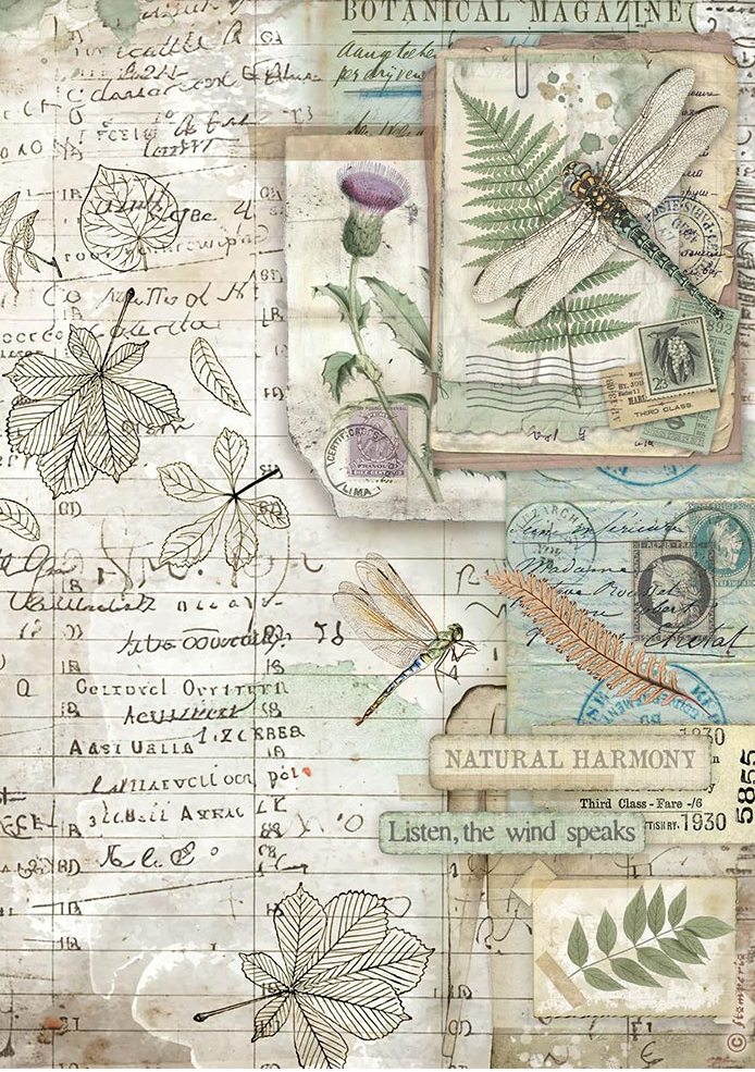 Stamperia Herbarium Silvae A4 Rice Paper - Botanic (DFSA41078)