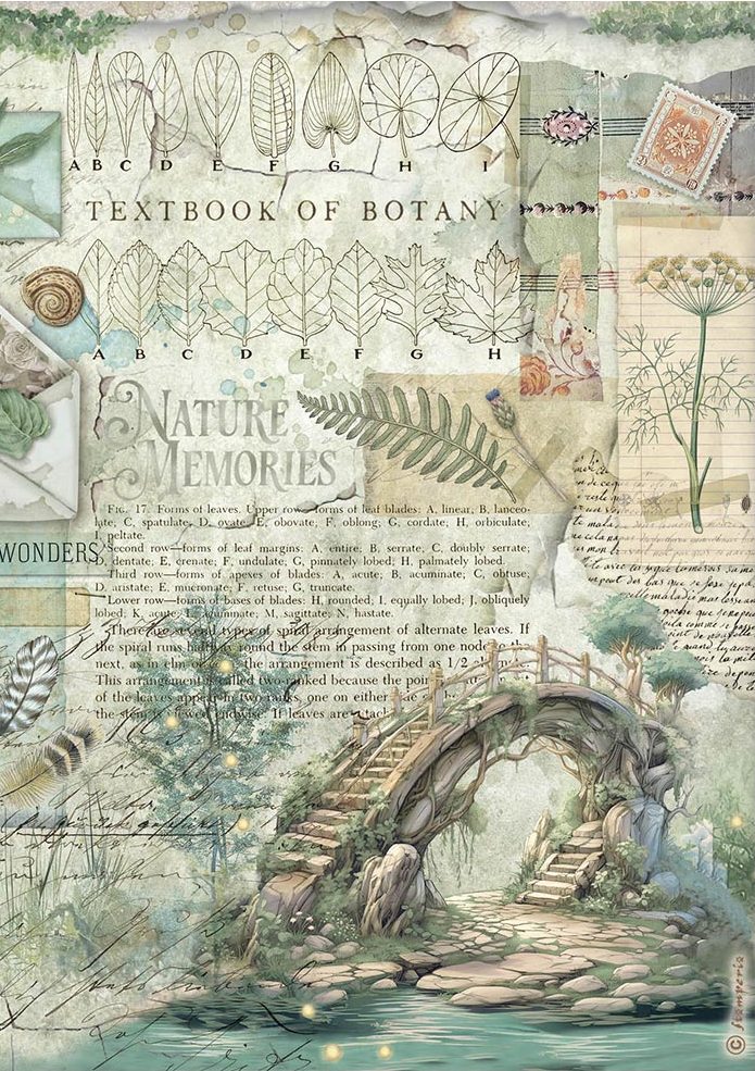 Stamperia Herbarium Silvae A4 Rice Paper - Bridge (DFSA41079)