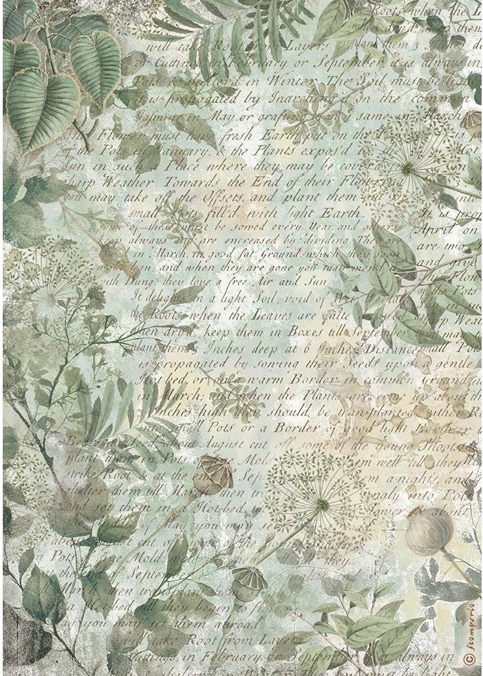 Stamperia Herbarium Silvae A4 Rice Paper - Leaves Background (DFSA41080)
