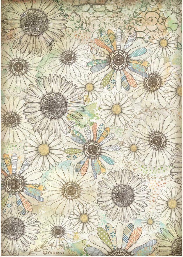 Stamperia Daisy Art A4 Rice Paper -  Stylised Daisy Pattern (DFSA41096)