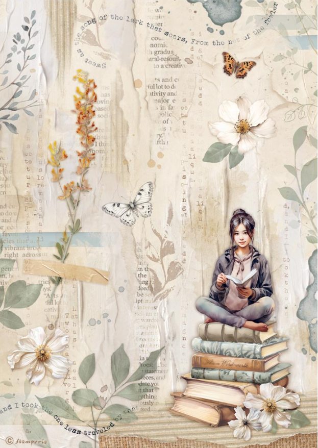 NEW Stamperia Secret Diary A4 Rice Paper Books (DFSA41104) 