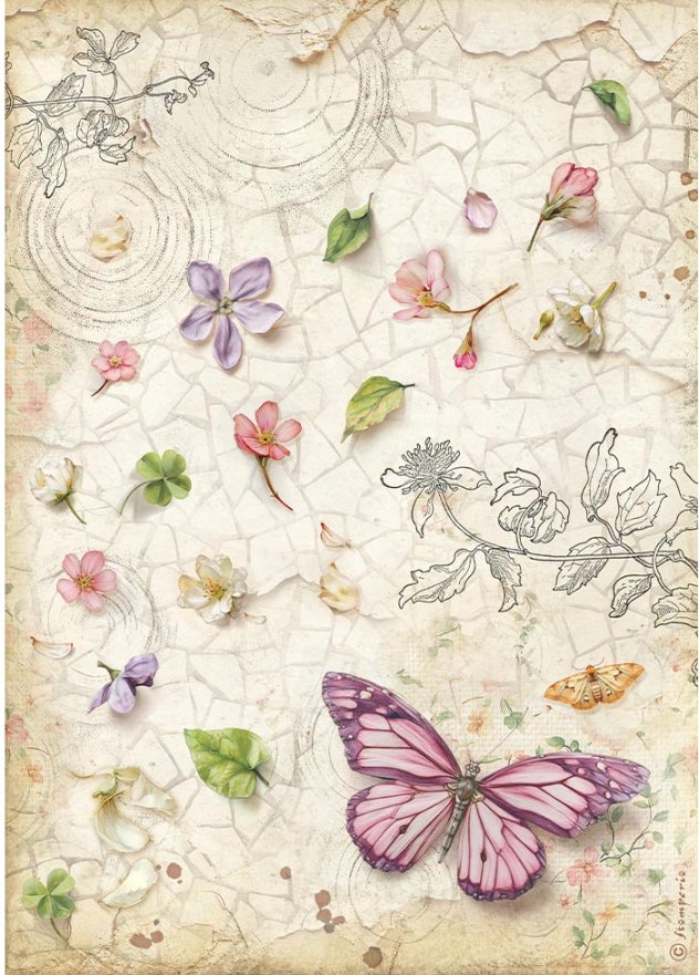 Stamperia All Around A4 Rice Paper Butterfly  (DFSA41117) 