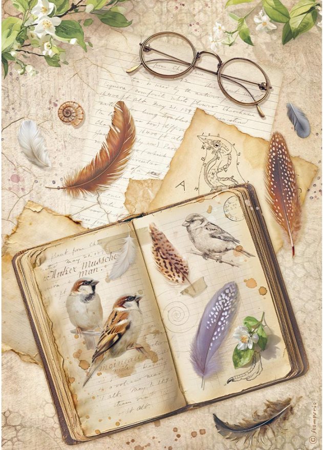 Stamperia All Around A4 Rice Paper Book (DFSA41118) 