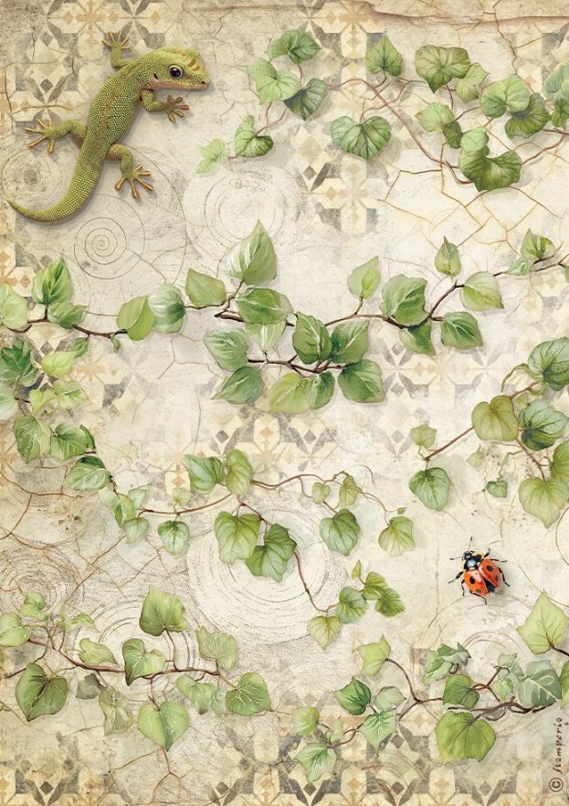 Stamperia All Around A4 Rice Paper Ivy  (DFSA41121) 