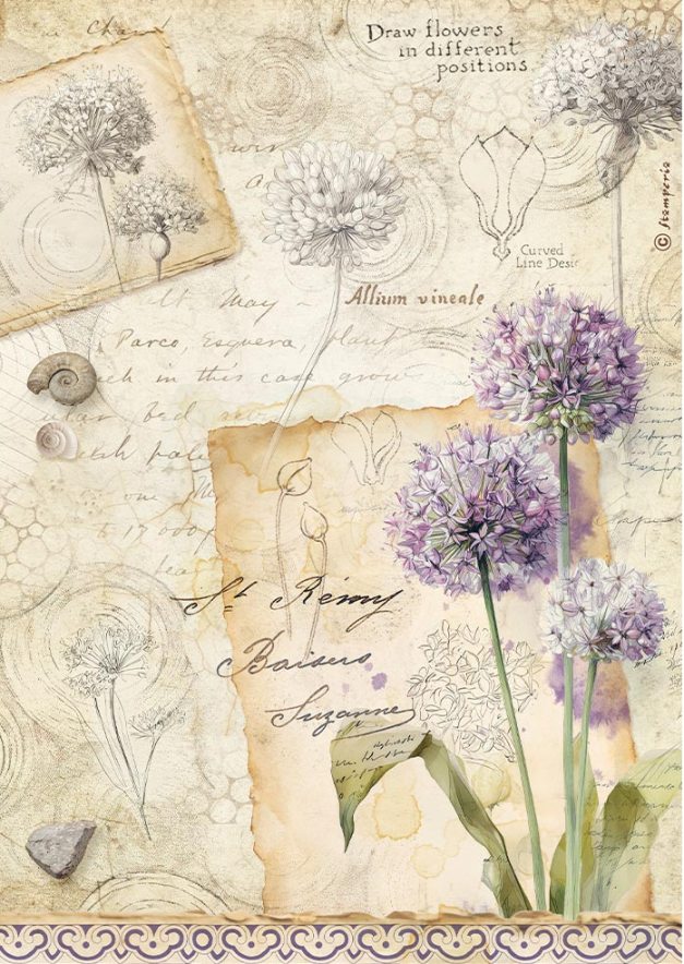 Stamperia All Around A4 Rice Paper Allium (DFSA41122) 