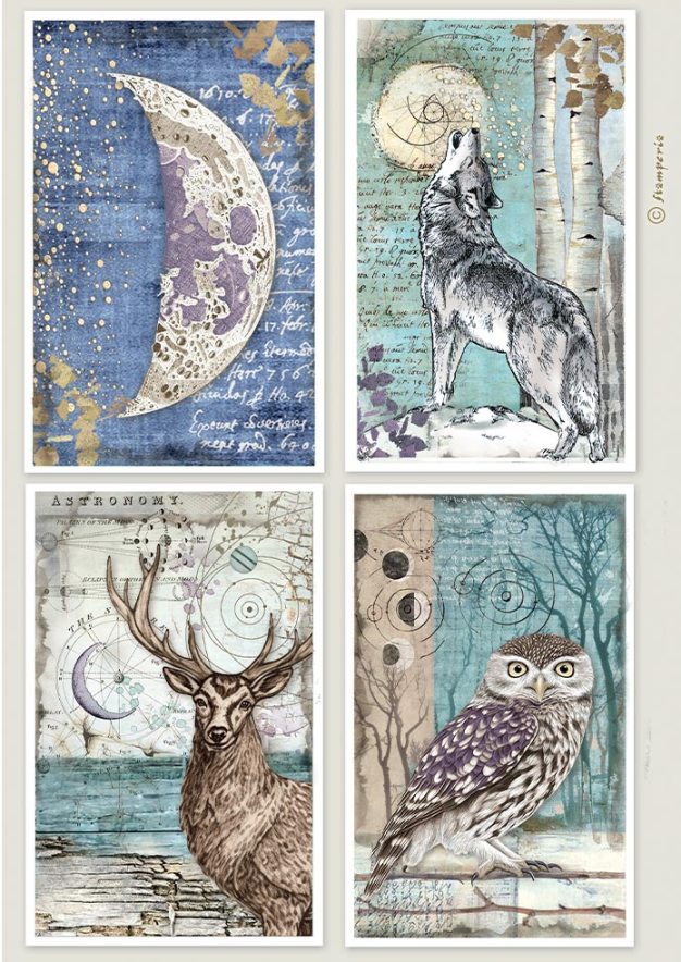 Stamperia Cosmos A4 Rice Paper - 4-Cards (DFSA41153)